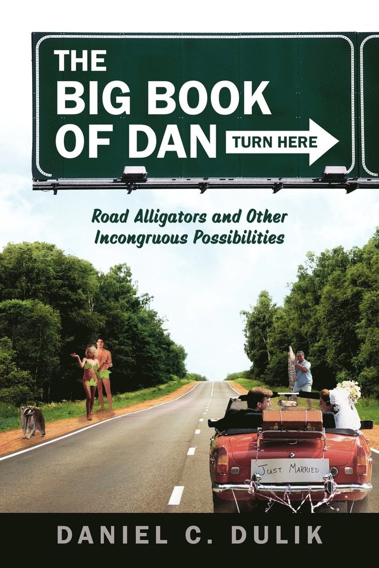 Daniel C Dulik, Daniel C. Dulik - Big Book Of Dan, Häftad
