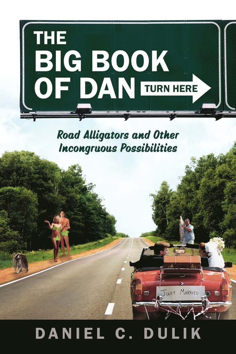 The Big Book Of Dan 1