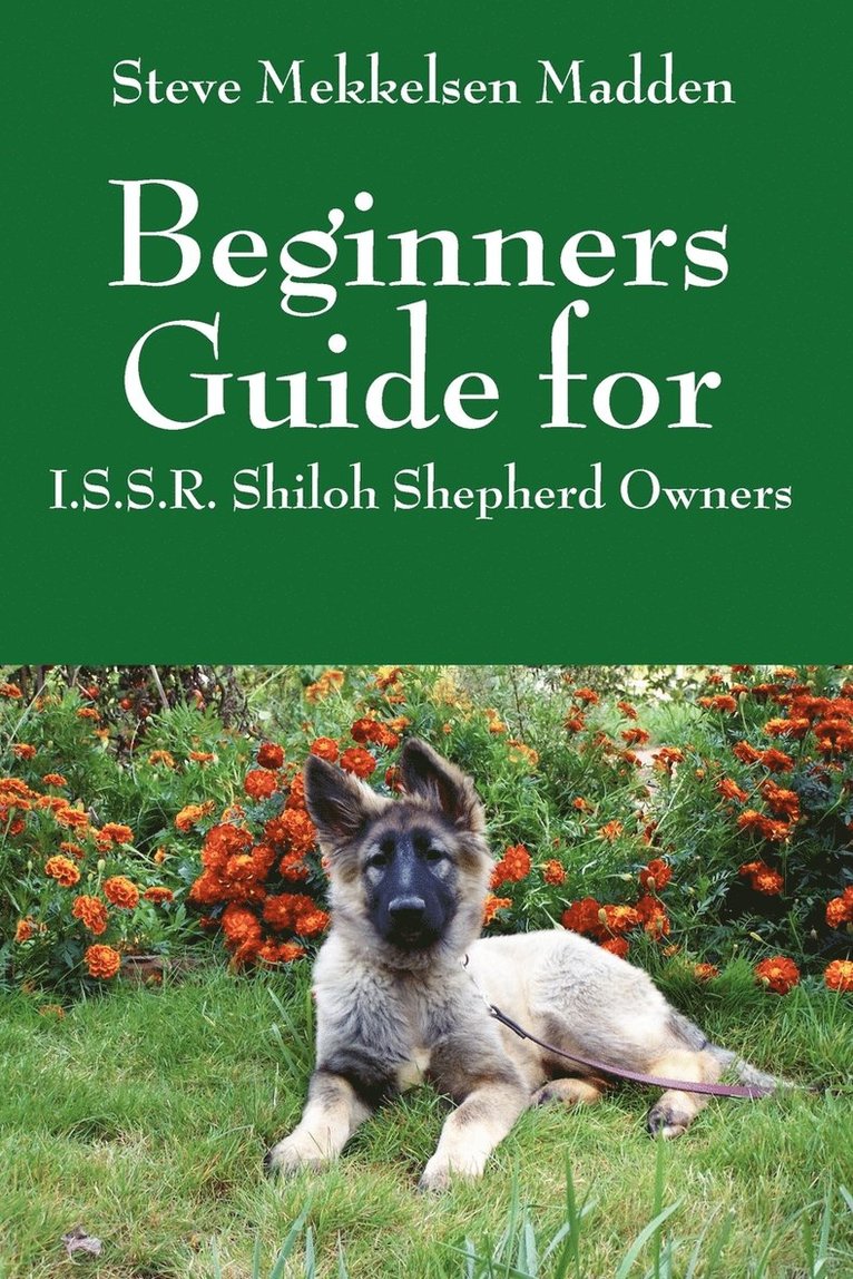 Beginners Guide for 1