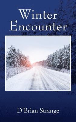 bokomslag Winter Encounter