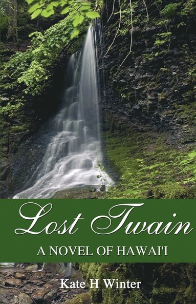 bokomslag Lost Twain