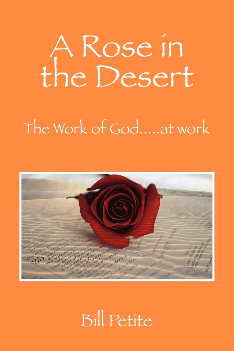 A Rose in the Desert 1