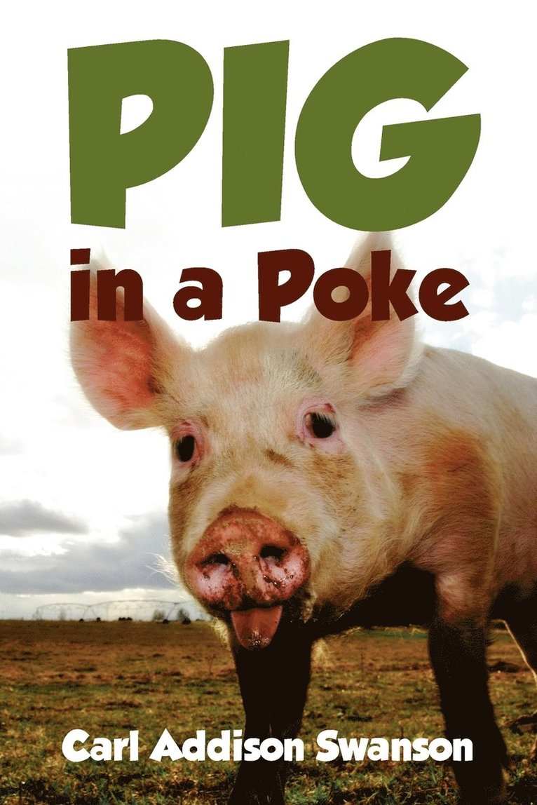 Pig in a Poke 1