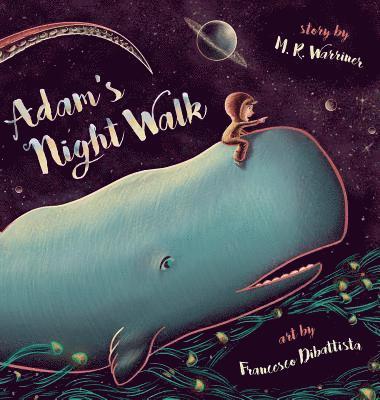 Adam's Night Walk 1