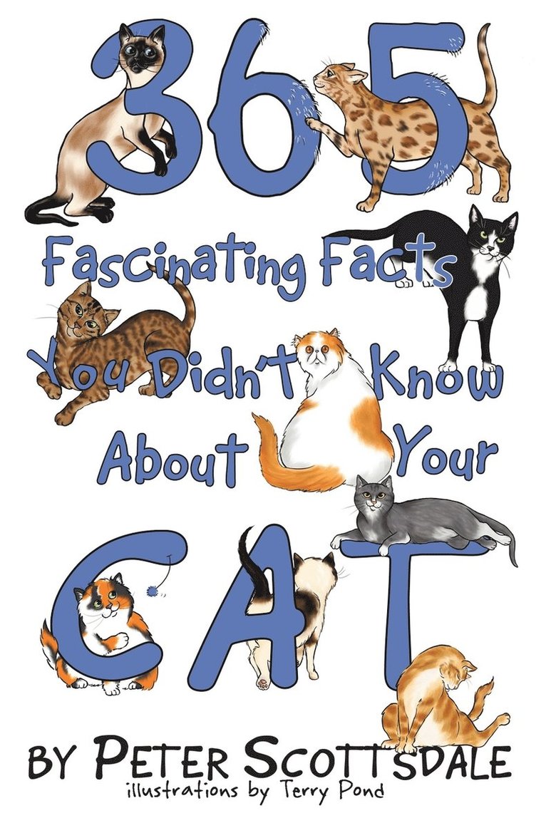 365 Fascinating Facts You Didn't Know About Your Cat 1