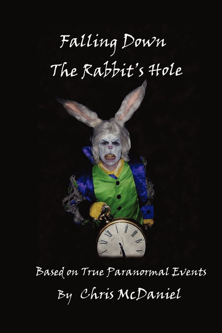 Chris McDaniel, Chris Mcdaniel - Falling Down The Rabbit's Hole, Häftad