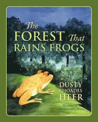 The Forest That Rains Frogs 1