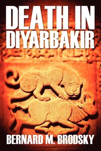 bokomslag Death in Diyarbakir