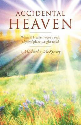 Michael McKinsey - Accidental Heaven, Häftad