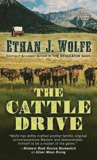 bokomslag Cattle Drive