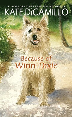 bokomslag Because of Winn-Dixie