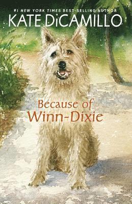 bokomslag Because of Winn-Dixie