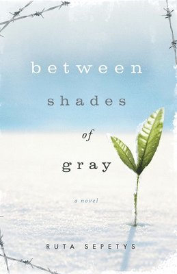 bokomslag Between Shades of Gray