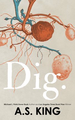 A. S. King, A S King - Dig, Häftad
