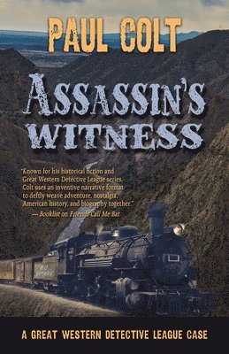 bokomslag Assassin's Witness