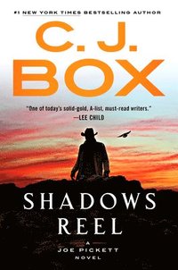 bokomslag Shadows Reel