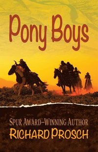 bokomslag Pony Boys