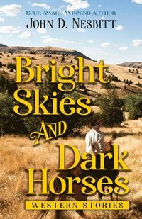 bokomslag Bright Skies and Dark Horses