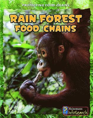 bokomslag Rain Forest Food Chains