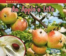 Nancy Dickmann - An Apple's Life, Häftad