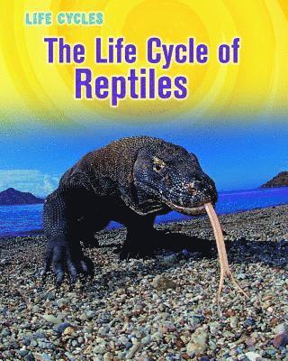 The Life Cycle of Reptiles 1