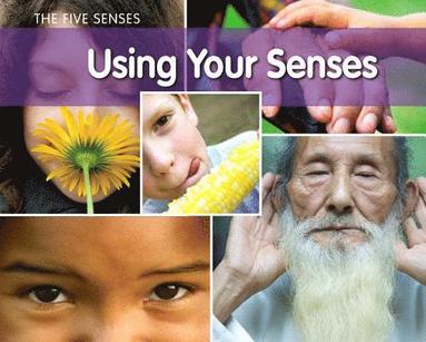 Rebecca Rissman - Using Your Senses, Häftad