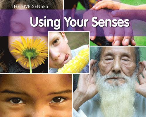 Rebecca Rissman - Using Your Senses, Häftad