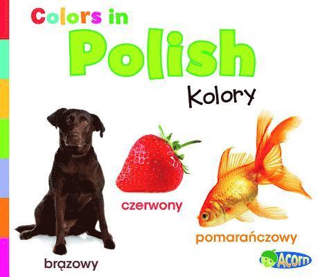 Daniel Nunn - Colors in Polish: Kolory, Häftad