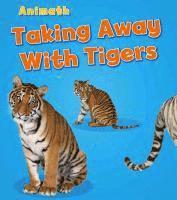 Tracey Steffora - Taking Away with Tigers, Häftad
