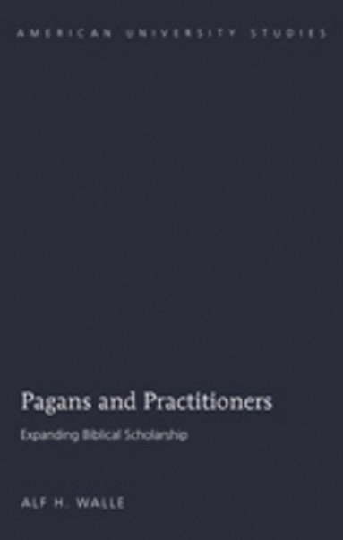 bokomslag Pagans and Practitioners