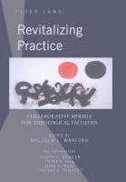 bokomslag Revitalizing Practice