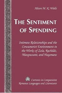 bokomslag The Sentiment of Spending