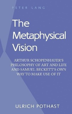 bokomslag Metaphysical Vision