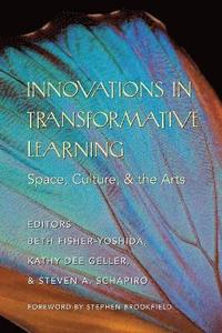 bokomslag Innovations in Transformative Learning