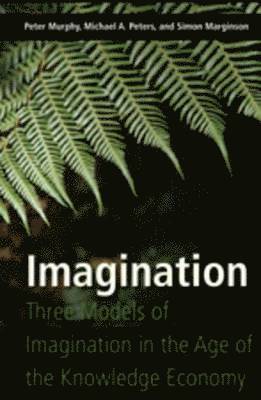 bokomslag Imagination