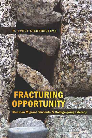 bokomslag Fracturing Opportunity