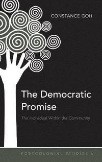 bokomslag The Democratic Promise