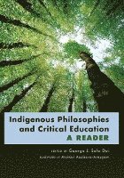 bokomslag Indigenous Philosophies and Critical Education