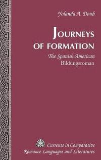 bokomslag Journeys of Formation