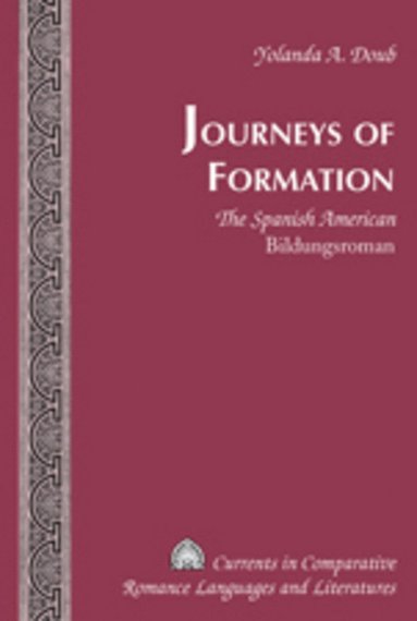 bokomslag Journeys of Formation