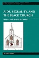 bokomslag AIDS, Sexuality, and the Black Church