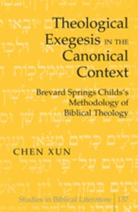 bokomslag Theological Exegesis in the Canonical Context