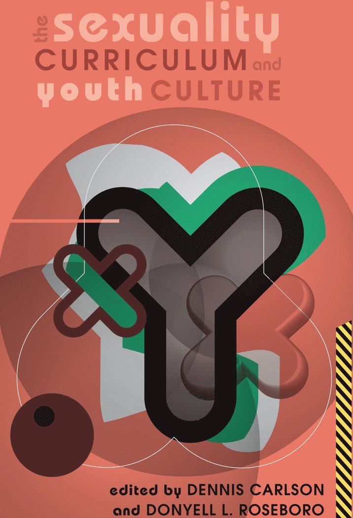 Dennis Carlson, Donyell L. Roseboro, Shirley R. Steinberg - Sexuality Curriculum and Youth Culture, Inbunden
