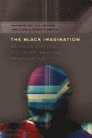 bokomslag The Black Imagination