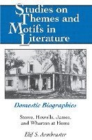 bokomslag Domestic Biographies