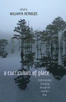 bokomslag a curriculum of place