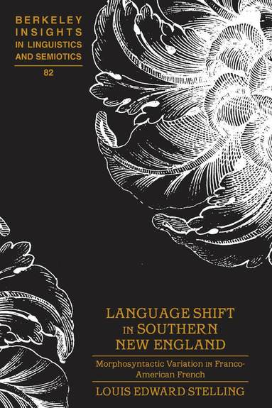 Louis Edward Stelling, Irmengard Rauch - Language Shift in Southern New England, Inbunden