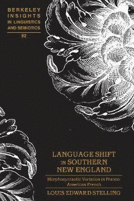Louis Edward Stelling, Irmengard Rauch - Language Shift in Southern New England, Inbunden