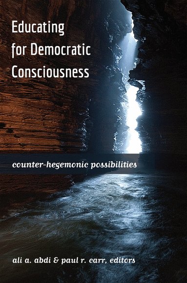Ali A. Abdi, Paul R. Carr - Educating for Democratic Consciousness, Häftad