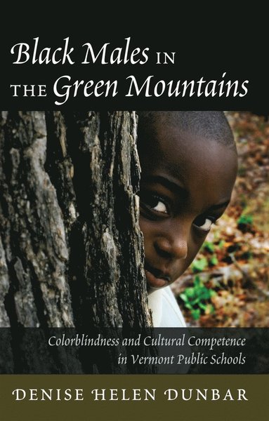 bokomslag Black Males in the Green Mountains